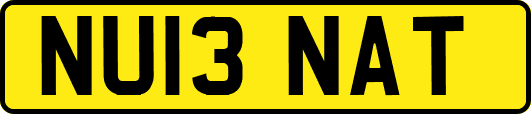 NU13NAT