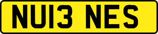 NU13NES
