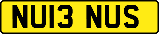 NU13NUS