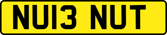 NU13NUT