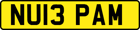 NU13PAM