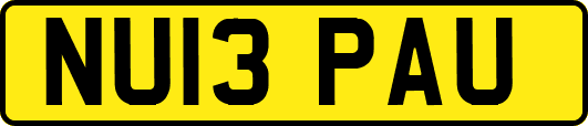 NU13PAU