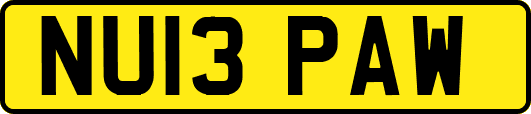 NU13PAW