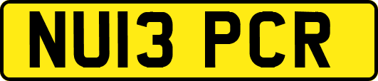 NU13PCR