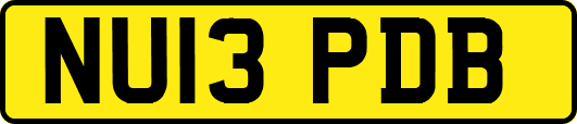 NU13PDB