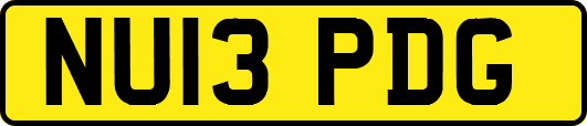 NU13PDG