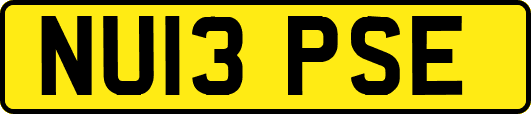 NU13PSE