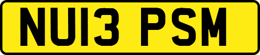 NU13PSM