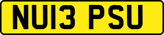 NU13PSU