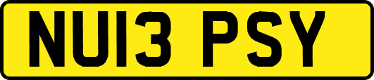 NU13PSY