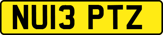 NU13PTZ