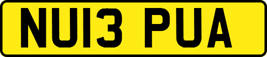 NU13PUA