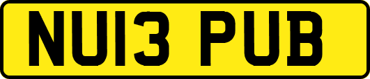 NU13PUB