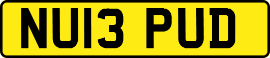 NU13PUD