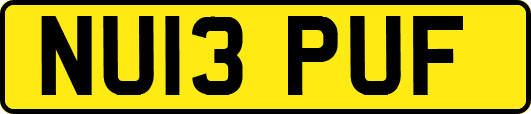 NU13PUF