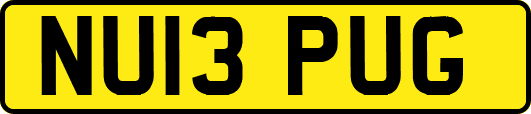 NU13PUG