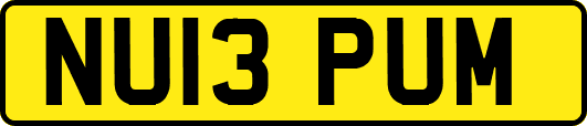 NU13PUM