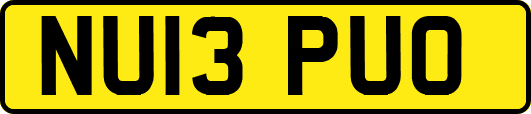 NU13PUO