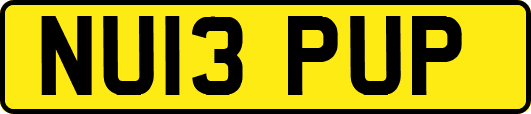 NU13PUP