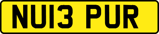 NU13PUR