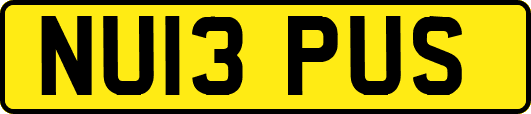 NU13PUS