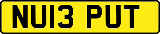 NU13PUT