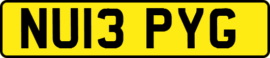 NU13PYG