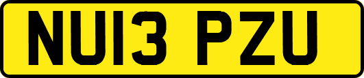 NU13PZU