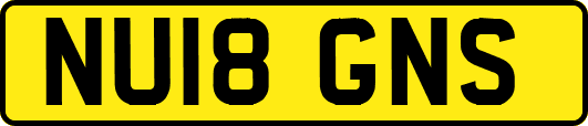 NU18GNS