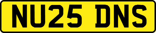 NU25DNS