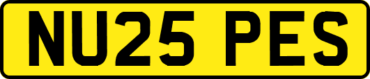 NU25PES