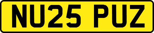 NU25PUZ