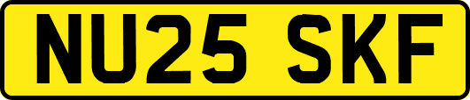 NU25SKF