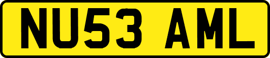 NU53AML