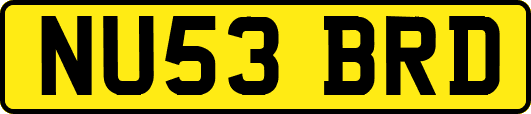 NU53BRD