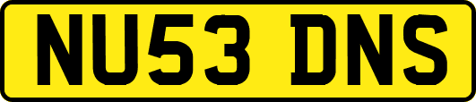 NU53DNS