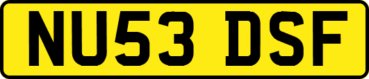NU53DSF