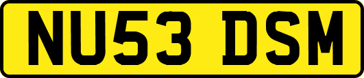 NU53DSM