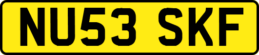 NU53SKF