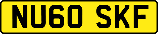 NU60SKF