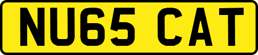 NU65CAT