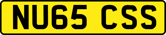 NU65CSS