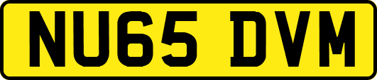 NU65DVM