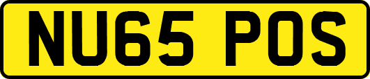 NU65POS