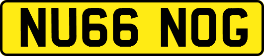 NU66NOG