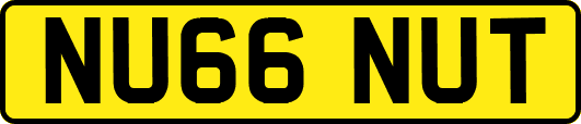 NU66NUT
