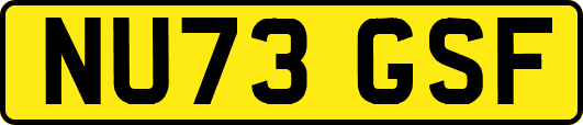 NU73GSF