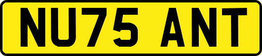 NU75ANT