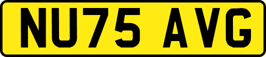 NU75AVG