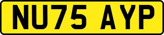 NU75AYP